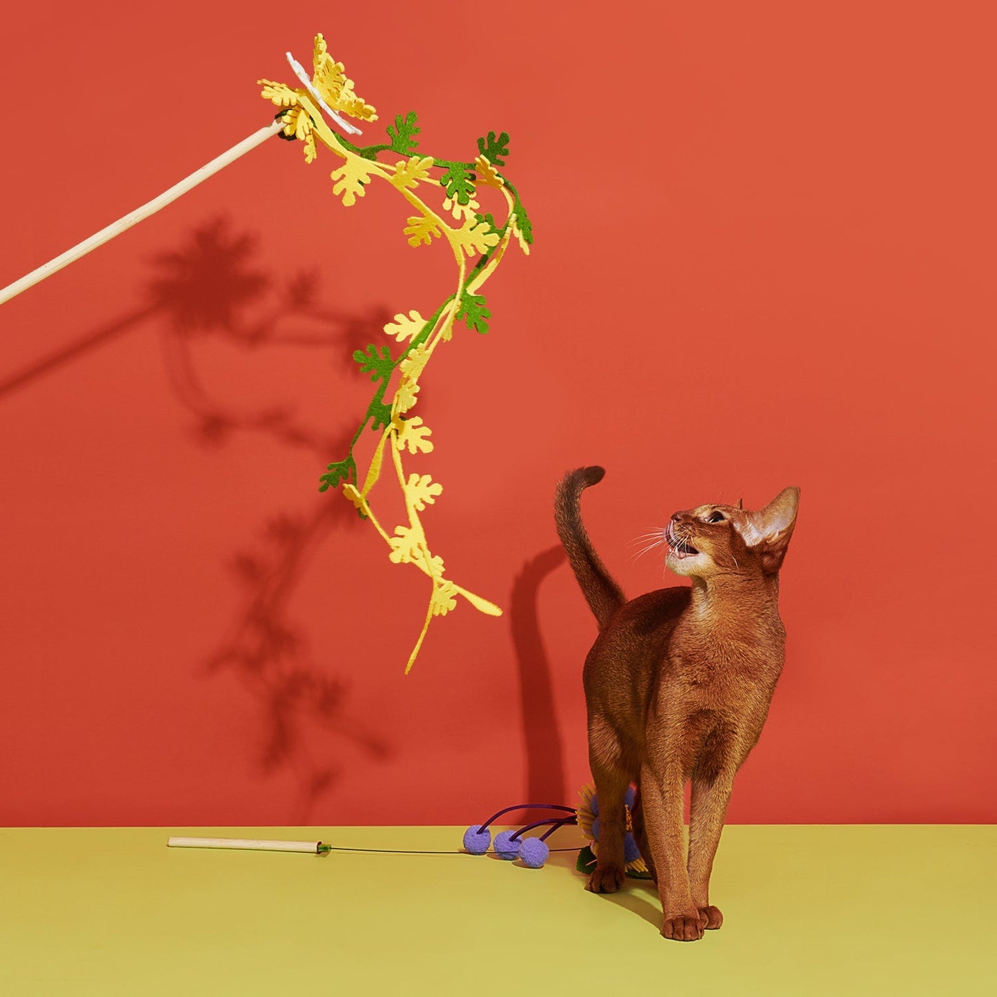 Bloeiende Kat Teaser - Dansende Vlok