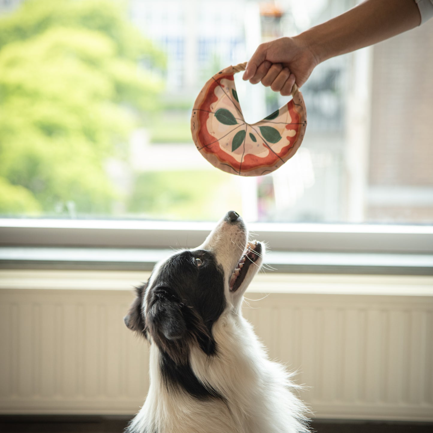 Margarita Pizza Dog Frisbee
