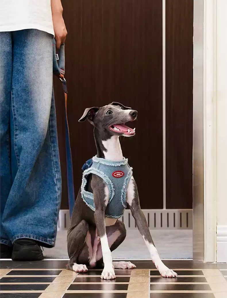 ZeZe Denim Dog Harness & Leash Set – Anti-Escape, Adjustable Vest for Outdoor Walks