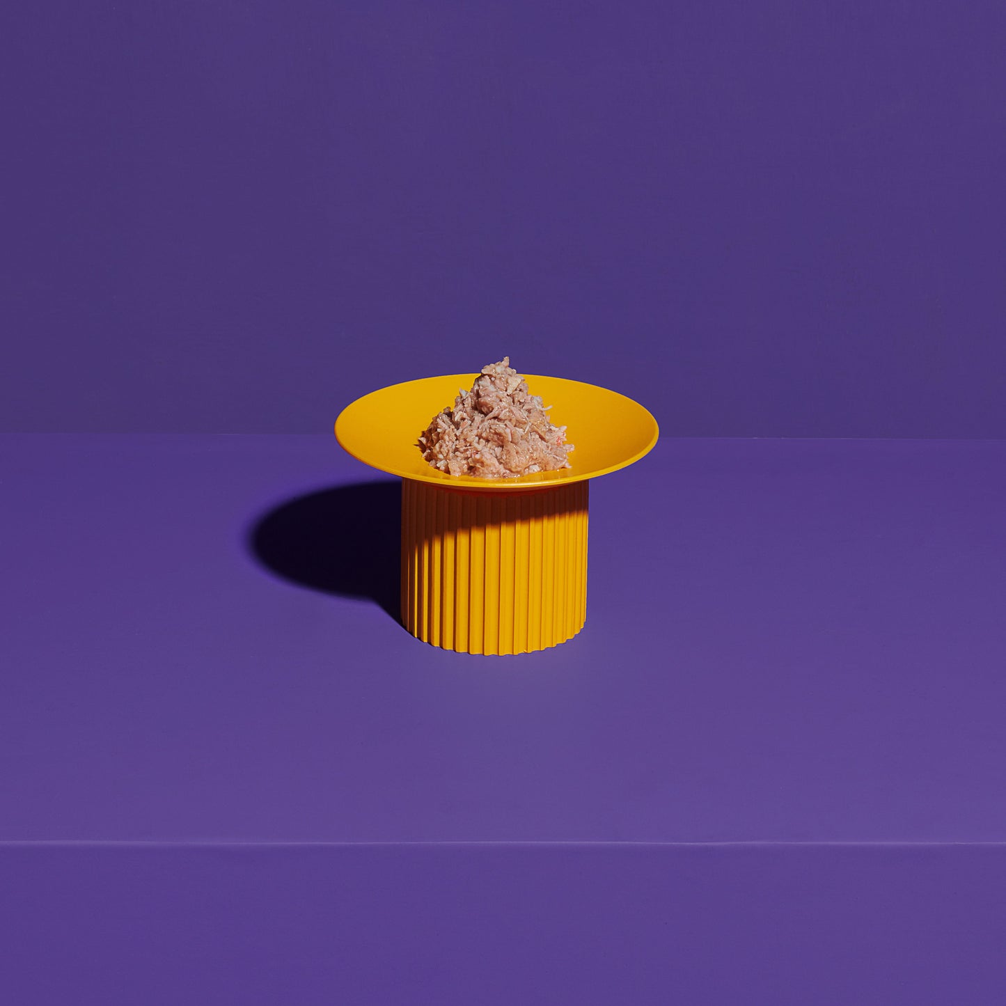 Teeth Party Elevated Feeder Plate