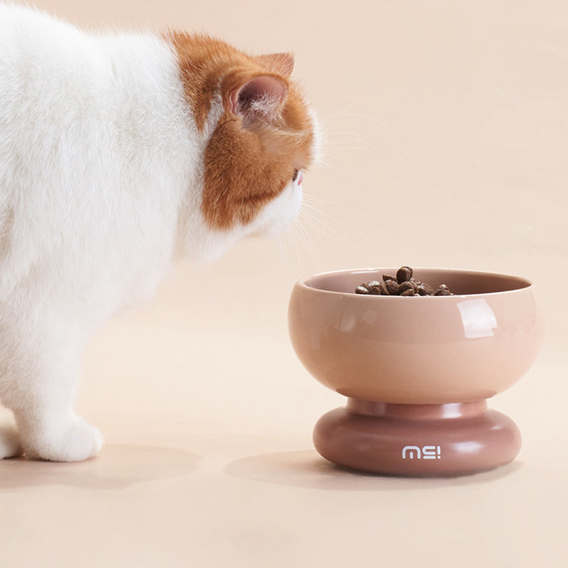 For Cats