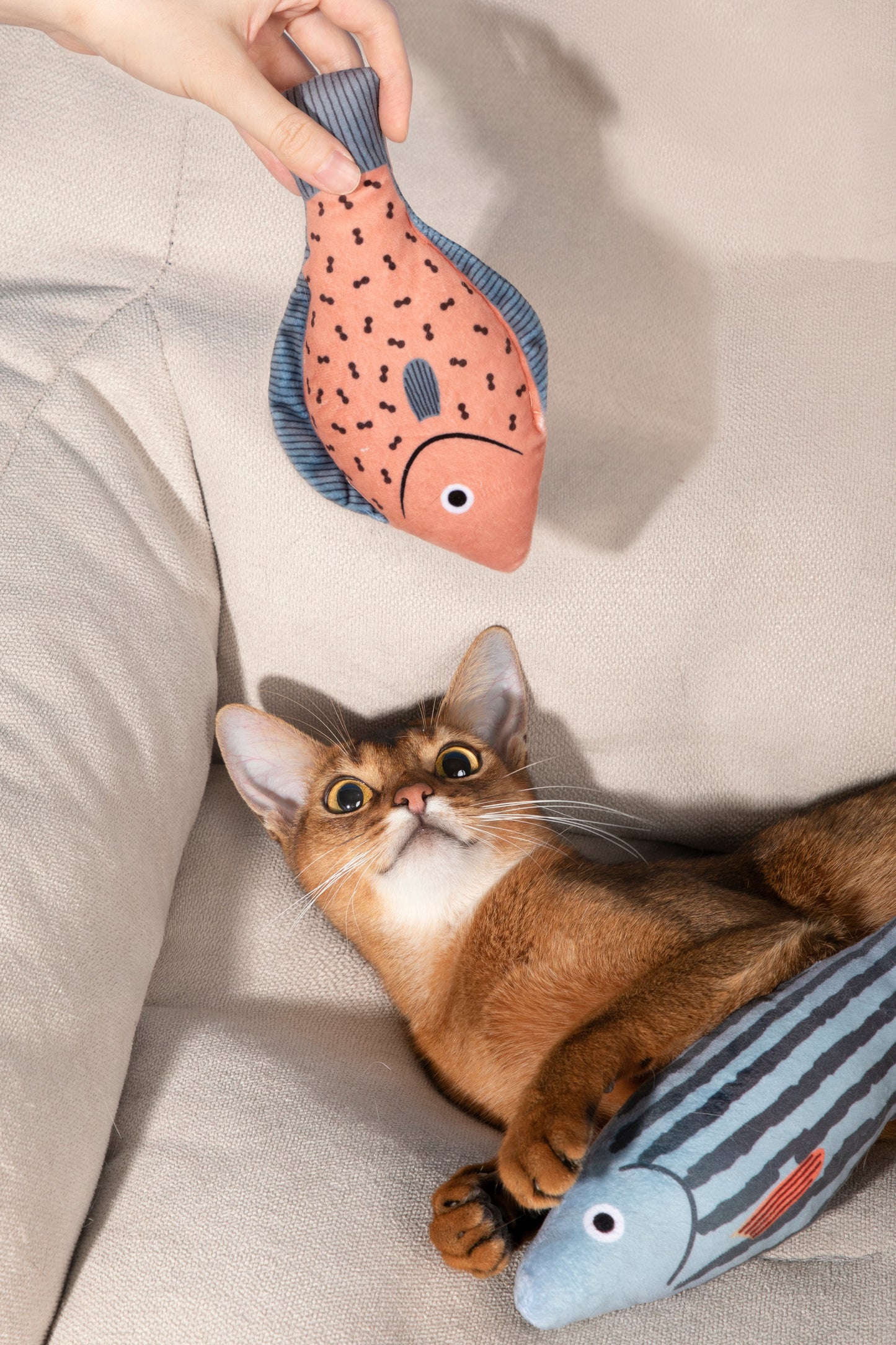 Fishy Fun Cat Toy - Sea Bass