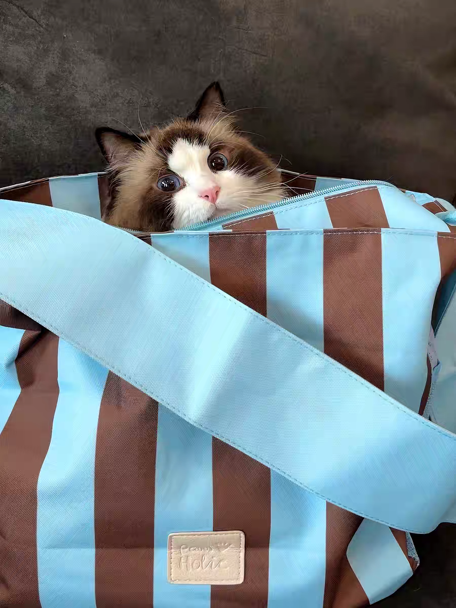 Pet Carrier Bag – Lightweight, Breathable & Escape-Proof