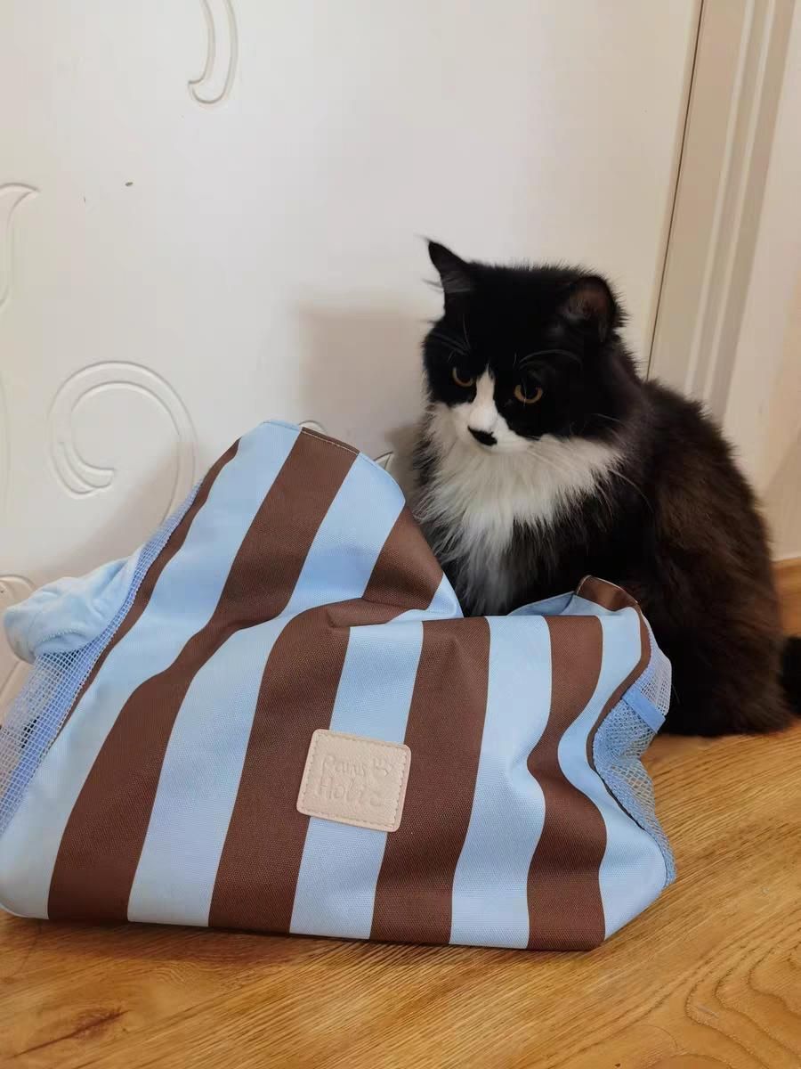 Pet Carrier Bag – Lightweight, Breathable & Escape-Proof