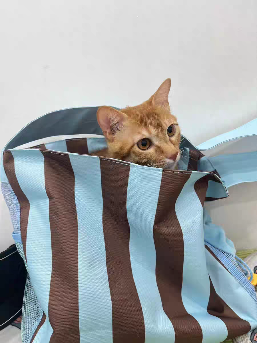 Pet Carrier Bag – Lightweight, Breathable & Escape-Proof