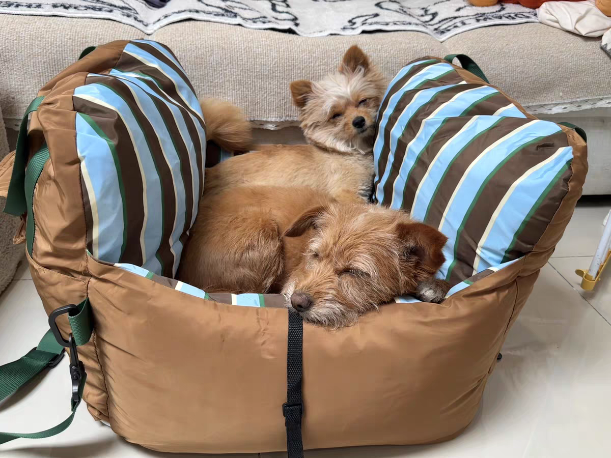 3-in-1 Car Seat, Home Sofa & Portable Pet Bed