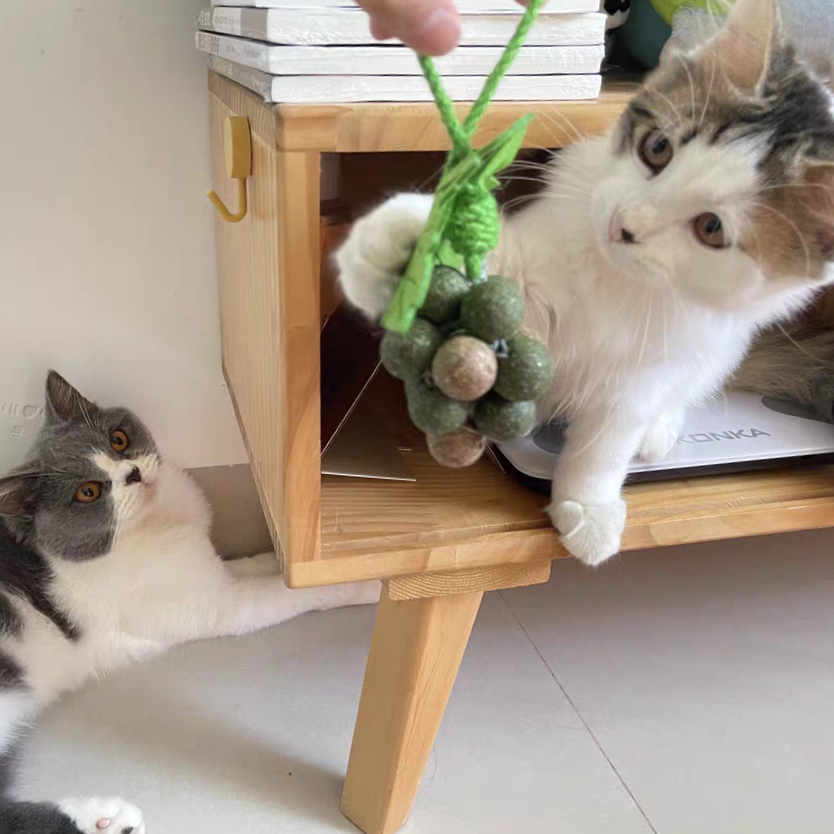 Natural Catnip Toy – Grape Ball - Play, Health, Style