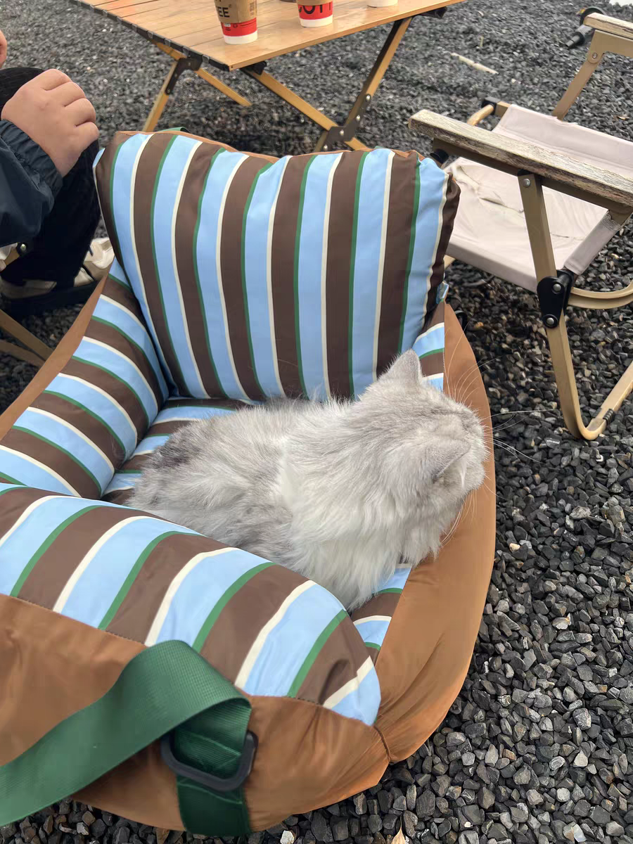 3-in-1 Car Seat, Home Sofa & Portable Pet Bed