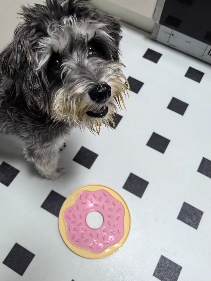 Pet Lick Mat & Spatula Set