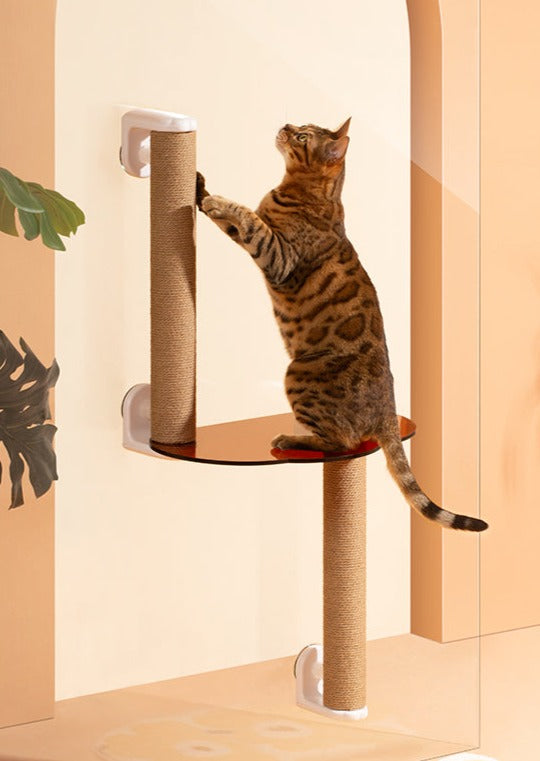 Floating Window Cat Tree with Scratchpost (Medium)