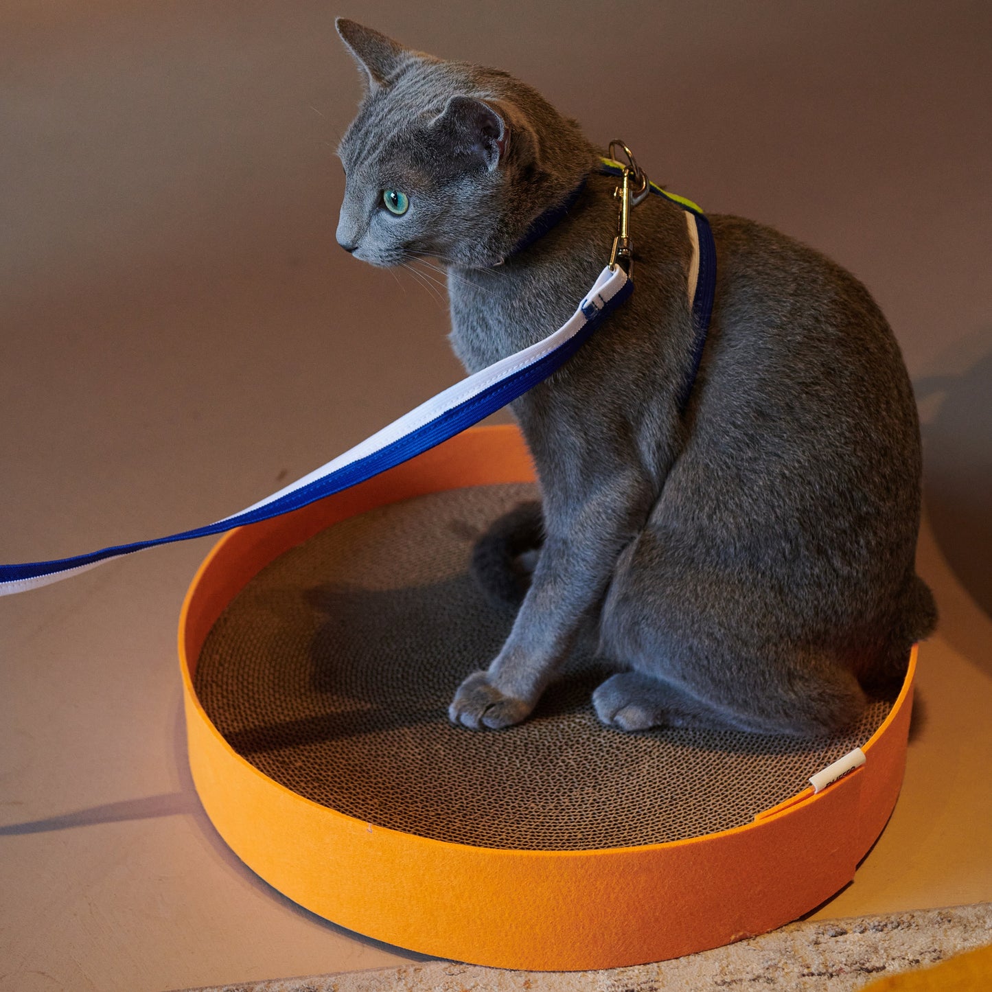 Round Cat Scratcher in Orange
