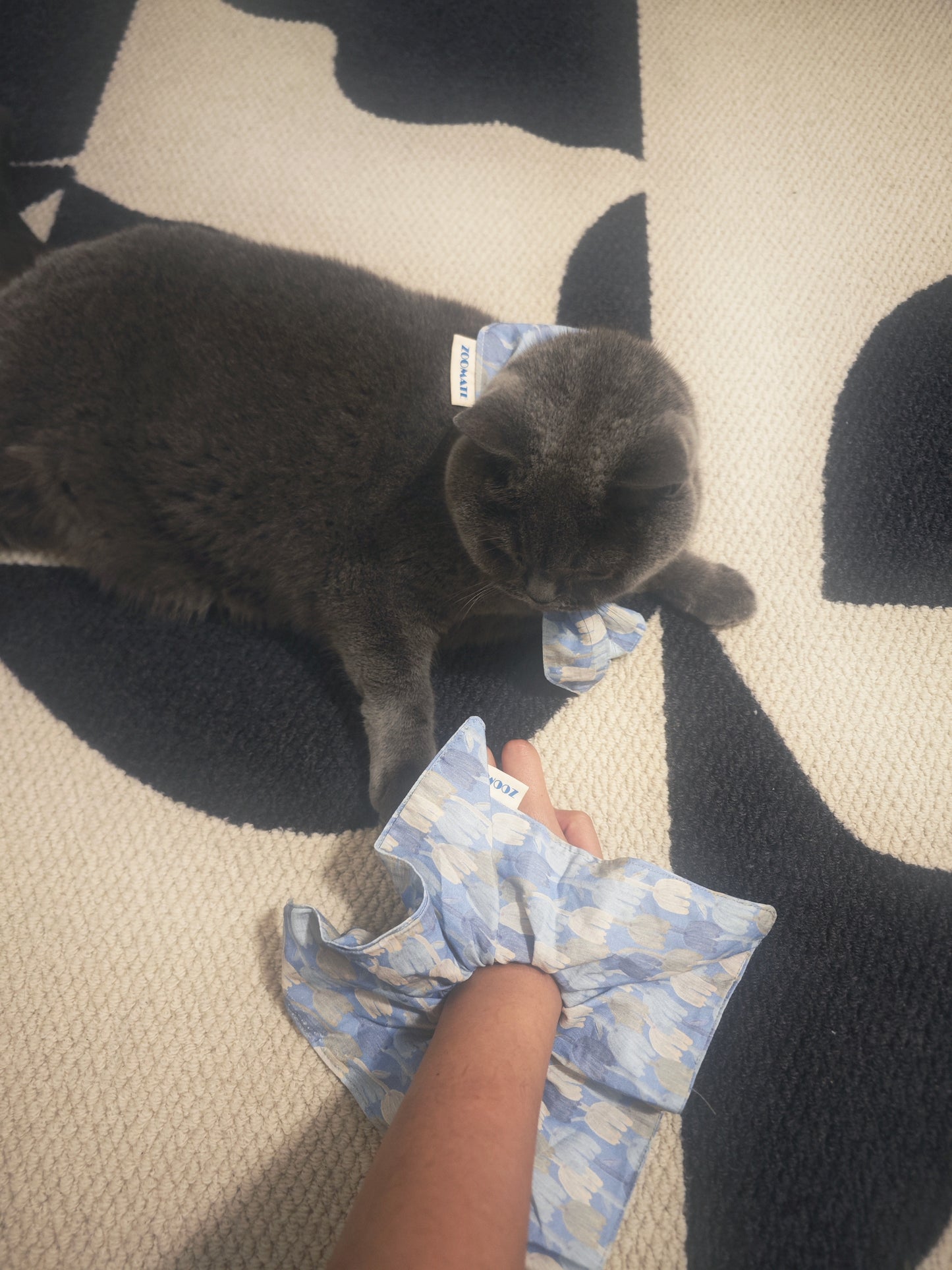 Blue Tulip Pet Tie + Scrunchie Matching Set