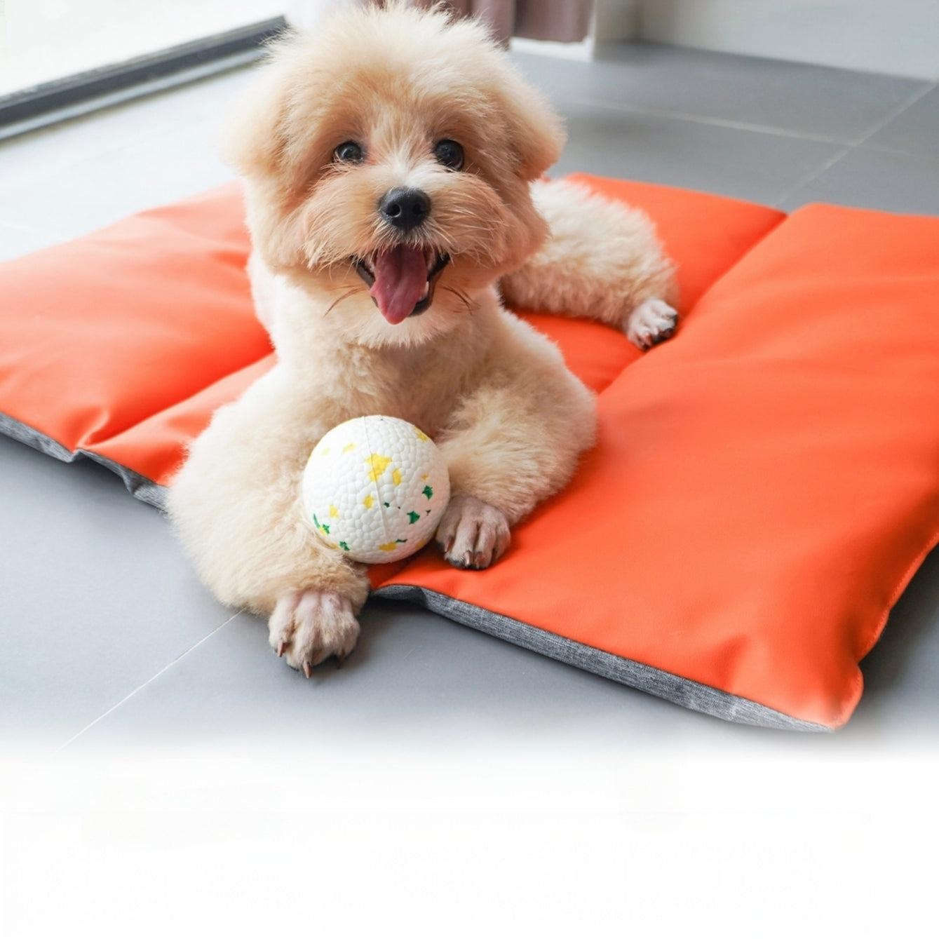 Portable Waterproof Pet Mat – Foldable, Scratch-Resistant & Easy to Clean