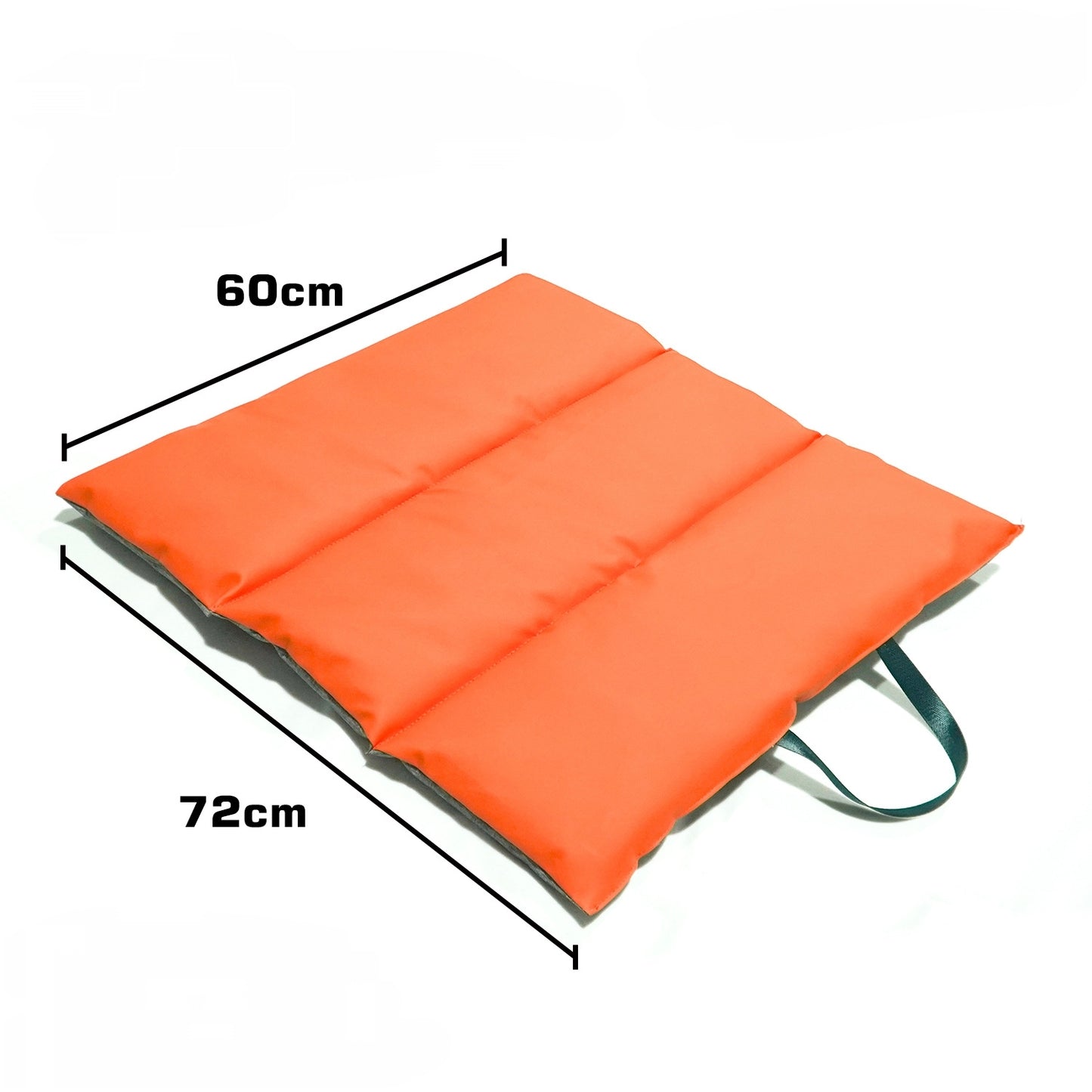 Portable Waterproof Pet Mat – Foldable, Scratch-Resistant & Easy to Clean