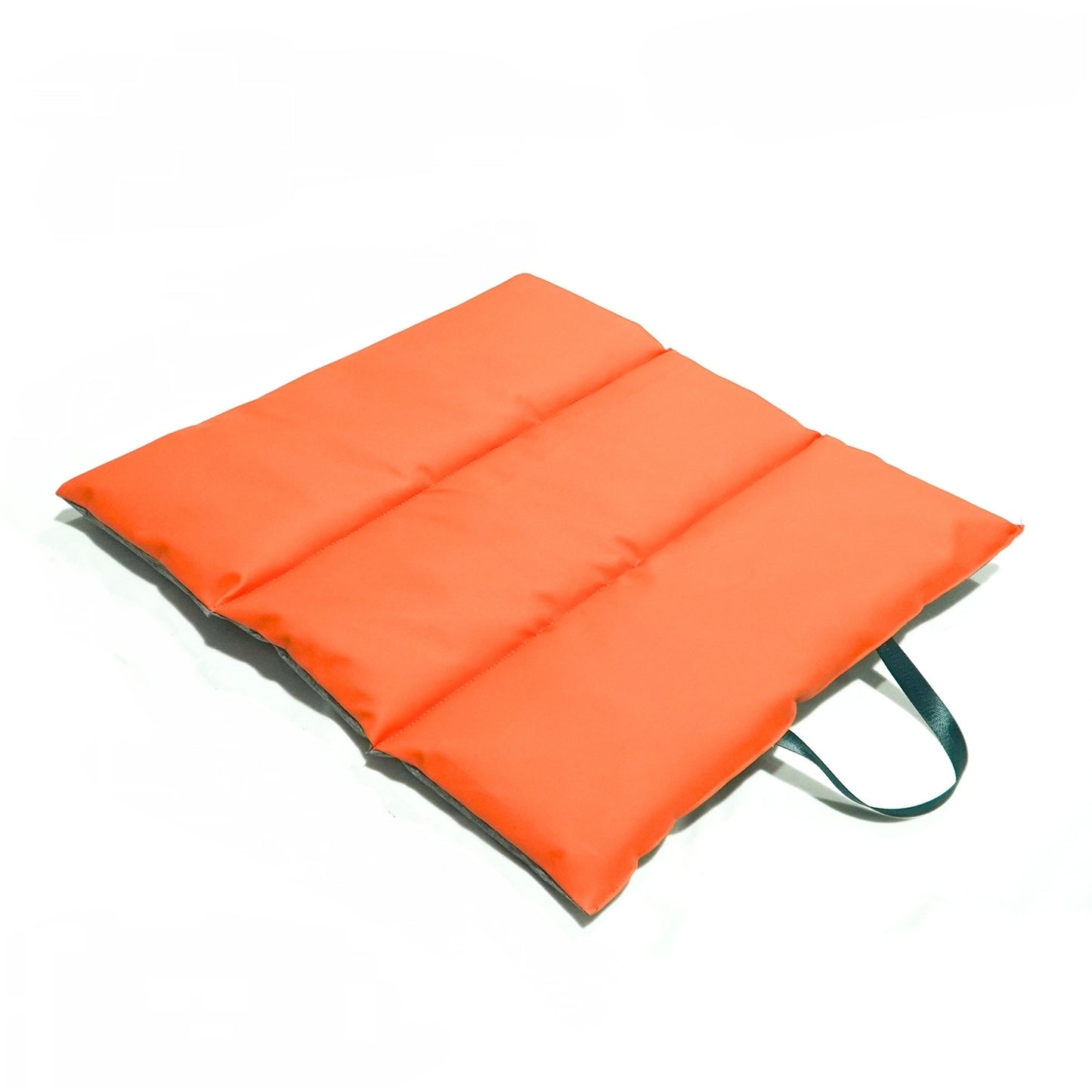 Portable Waterproof Pet Mat – Foldable, Scratch-Resistant & Easy to Clean