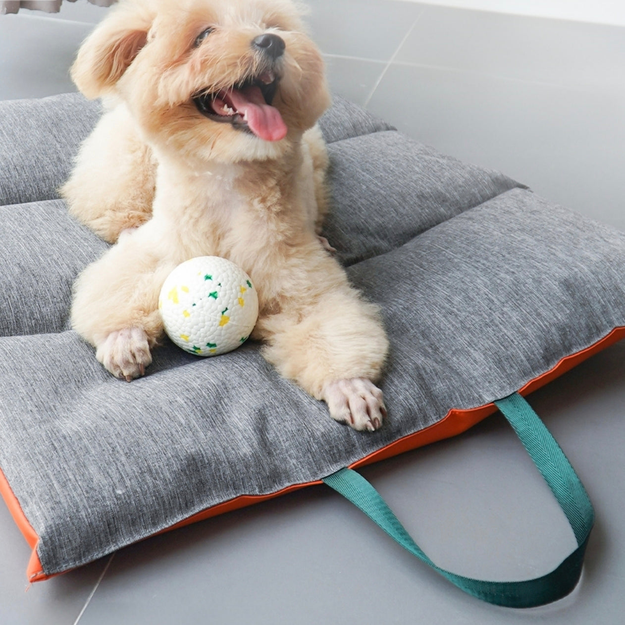 Portable Waterproof Pet Mat – Foldable, Scratch-Resistant & Easy to Clean