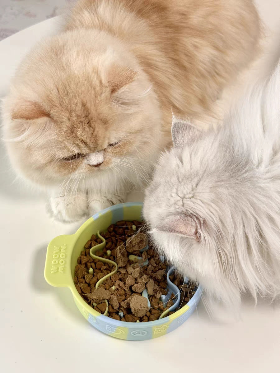 Palette Slow Feeder Bowl – Food-Grade Silicone, Anti-Spill, Oral Care for Cats & Small Dogs