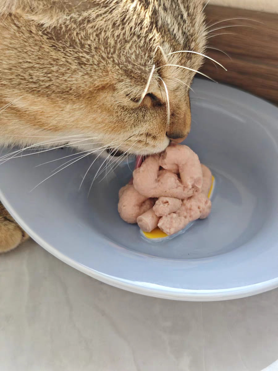 Adjustable Elevated Ceramic Cat Bowls with Anti-Slip Rubber Pad, Splash Guard, Lead & Cadmium Free, Whisker Friendly