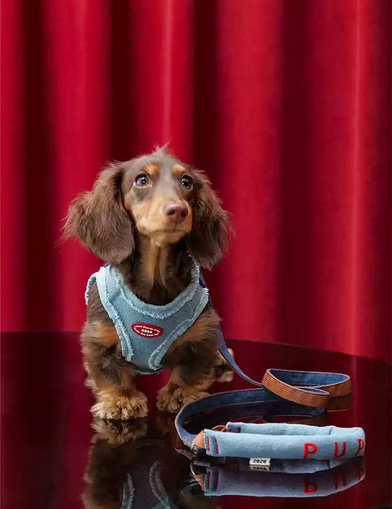 ZeZe Denim Dog Harness & Leash Set – Anti-Escape, Adjustable Vest for Outdoor Walks