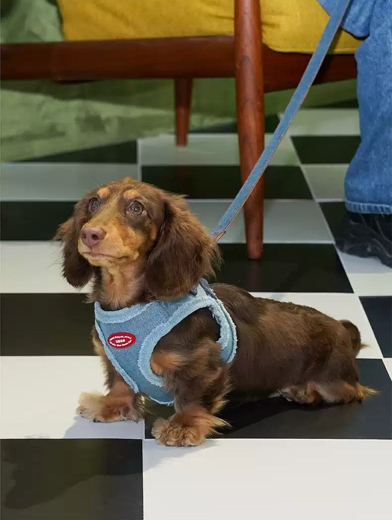 ZeZe Denim Dog Harness & Leash Set – Anti-Escape, Adjustable Vest for Outdoor Walks