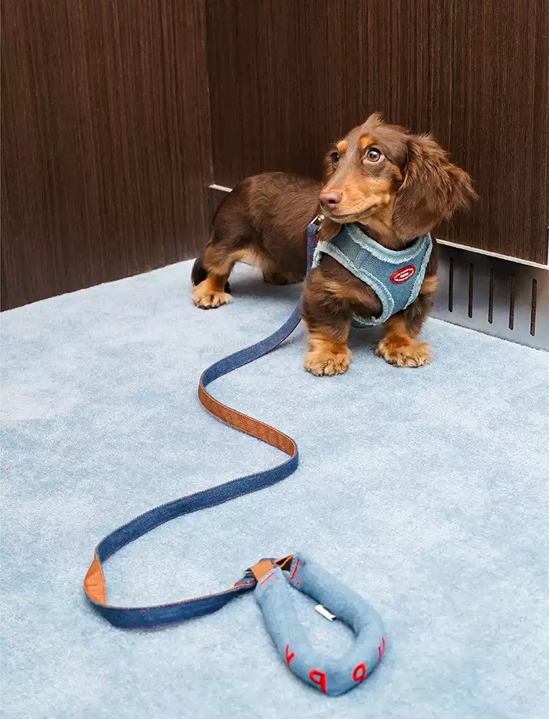 ZeZe Denim Dog Harness & Leash Set – Anti-Escape, Adjustable Vest for Outdoor Walks