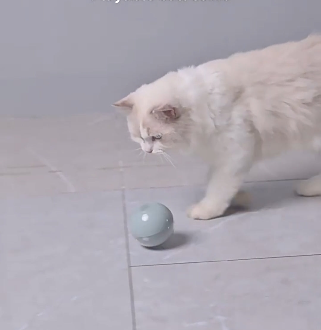 UFO Pet Comb Massage Brush - Tool&Toy in 1 - OneClick Button Design