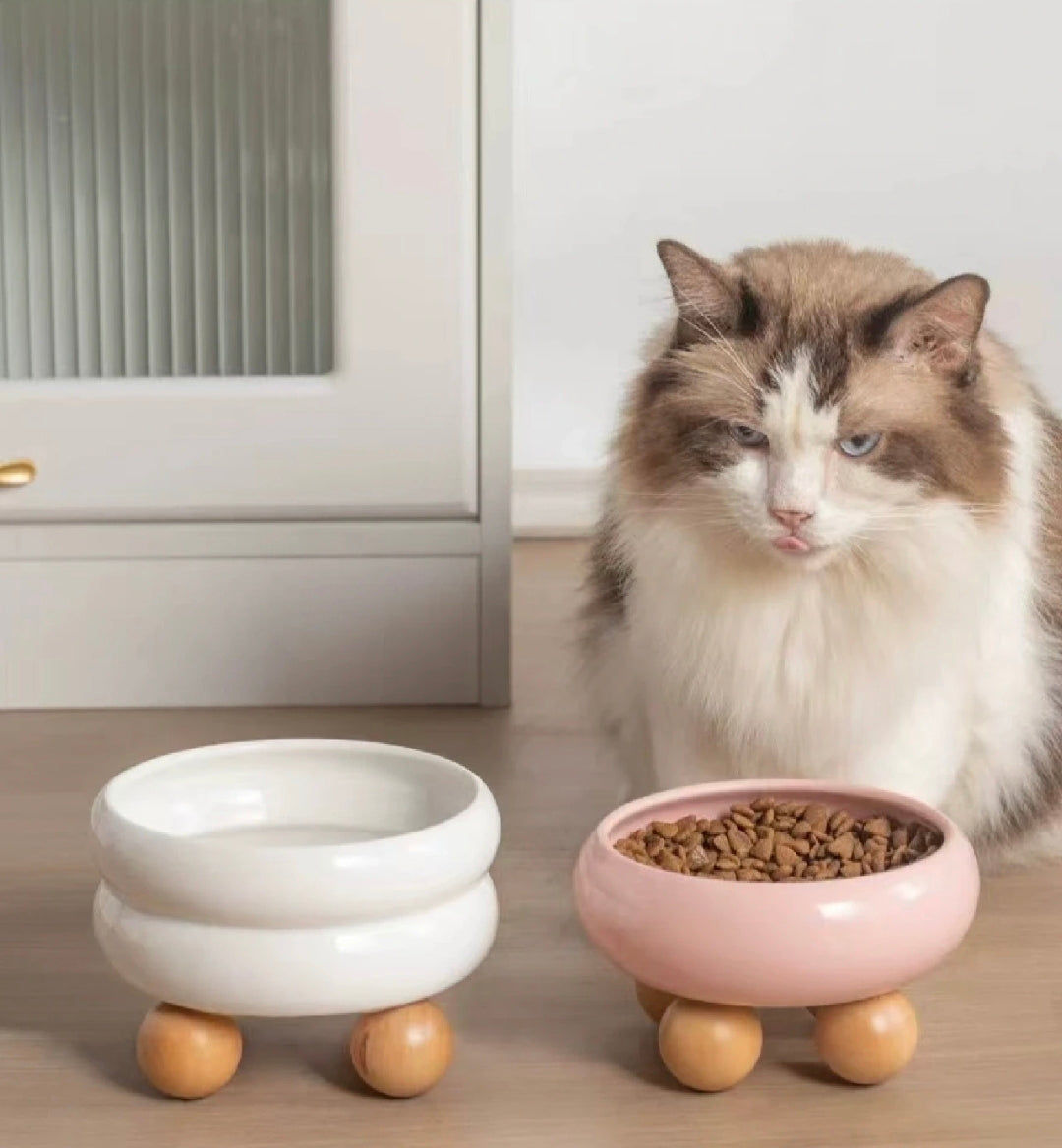 ZOOMATE - Mochi -  Elevated Ceramic Pet Diner with Wood Base - Joint-Friendly, Dishwasher Safe