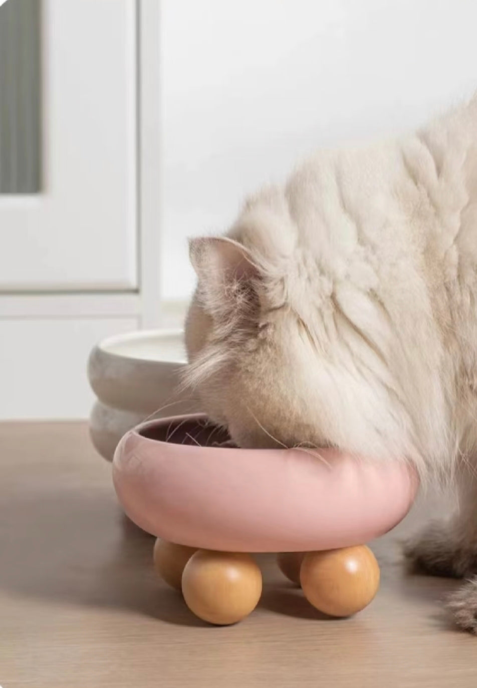 ZOOMATE - Mochi -  Elevated Ceramic Pet Diner with Wood Base - Joint-Friendly, Dishwasher Safe