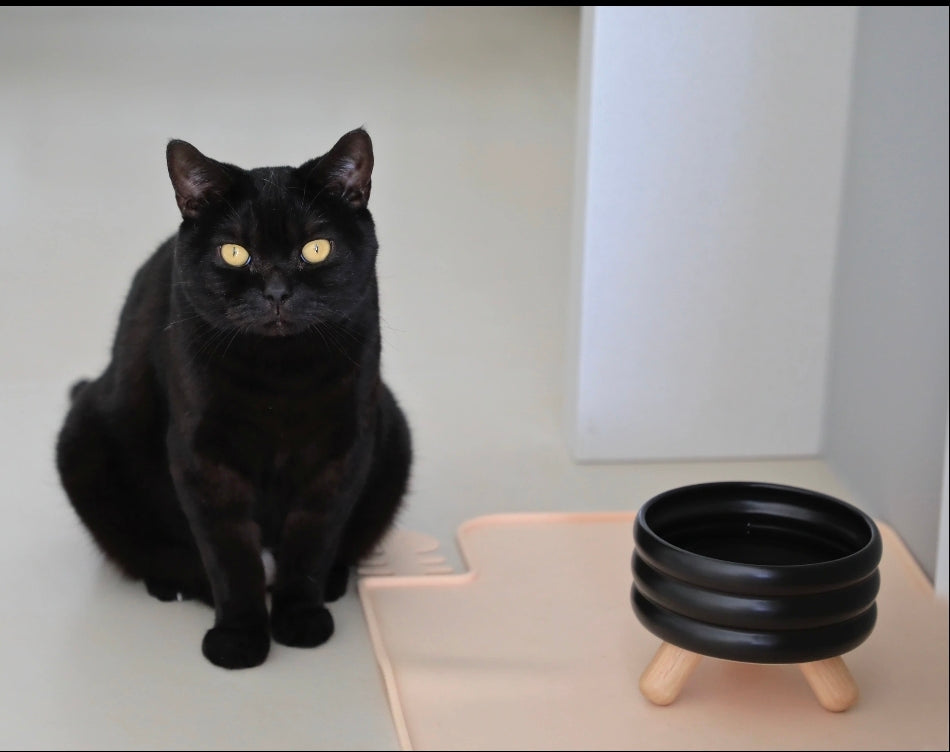 ZOOMATE - Tripod Elevated Ceramic Pet Feeder - Stable, Joint Health Focus & Modern Minimalist Design