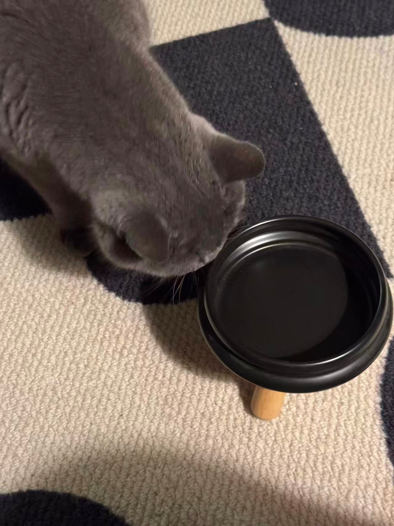 ZOOMATE - Tripod Elevated Ceramic Pet Feeder - Stable, Joint Health Focus & Modern Minimalist Design