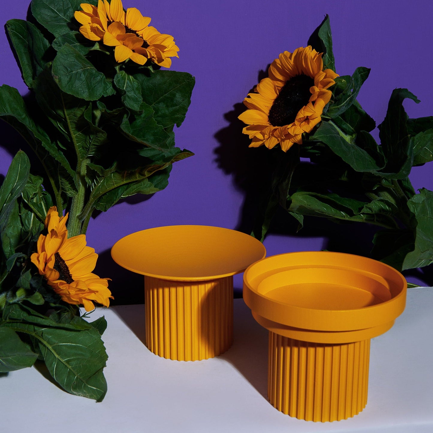 Teeth Party Elevated Feeder Bowl